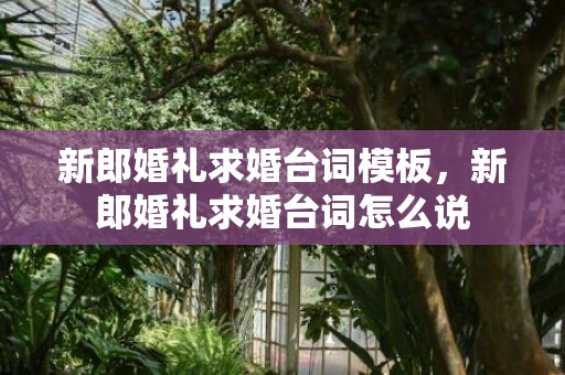 新郎婚礼求婚台词模板，新郎婚礼求婚台词怎么说