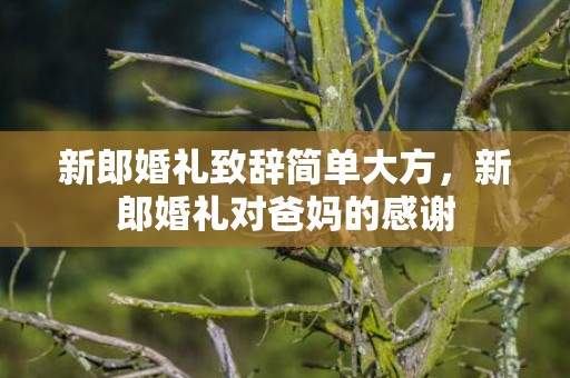 新郎婚礼致辞简单大方，新郎婚礼对爸妈的感谢