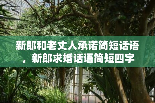 新郎和老丈人承诺简短话语，新郎求婚话语简短四字