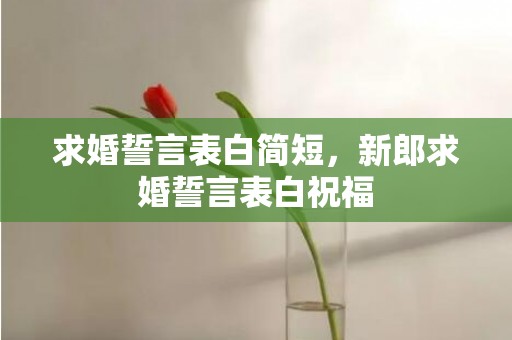 求婚誓言表白简短，新郎求婚誓言表白祝福