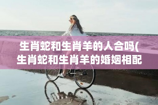 生肖蛇和生肖羊的人合吗(生肖蛇和生肖羊的婚姻相配吗)