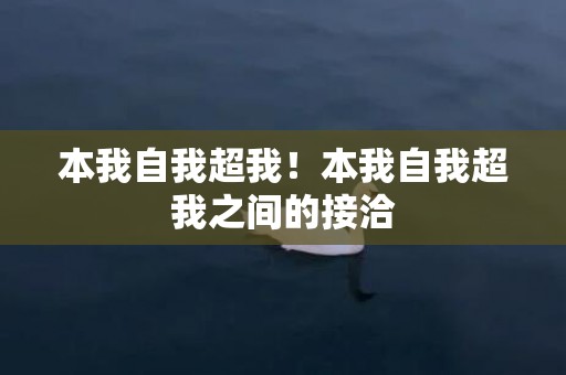 本我自我超我！本我自我超我之间的接洽