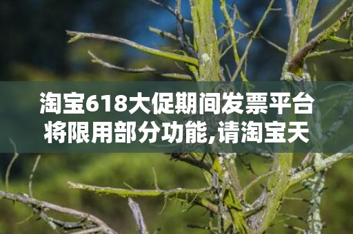 淘宝618大促期间发票平台将限用部分功能,请淘宝天猫商家提前做好开票准备