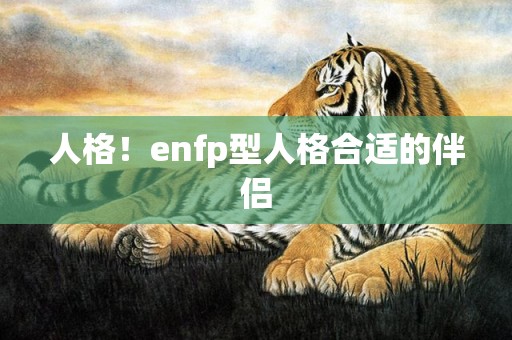 人格！enfp型人格合适的伴侣