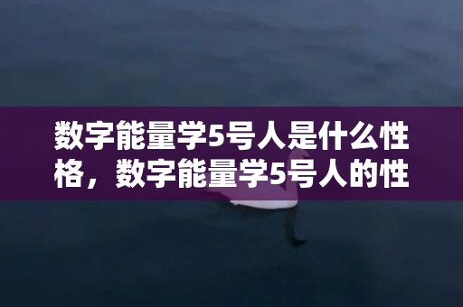 数字能量学5号人是什么性格，数字能量学5号人的性格