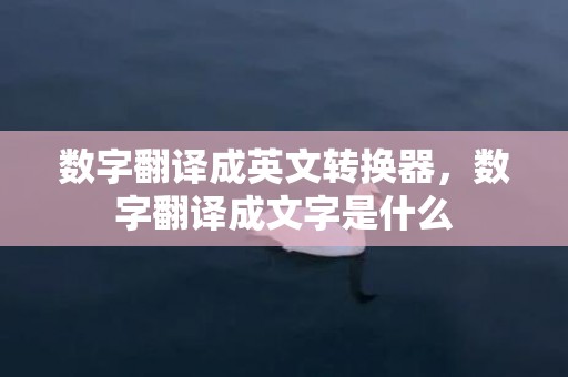 数字翻译成英文转换器，数字翻译成文字是什么