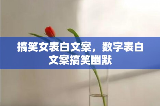 搞笑女表白文案，数字表白文案搞笑幽默