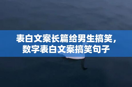 表白文案长篇给男生搞笑，数字表白文案搞笑句子