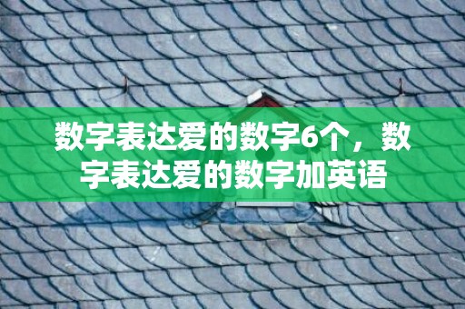 数字表达爱的数字6个，数字表达爱的数字加英语