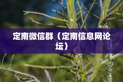 定南微信群（定南信息网论坛）