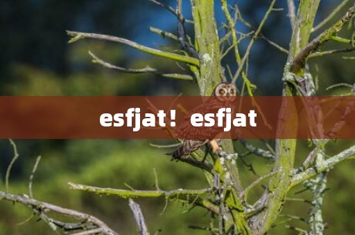 esfjat！esfjat