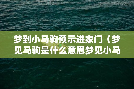 梦到小马驹预示进家门（梦见马驹是什么意思梦见小马驹是什么意思）