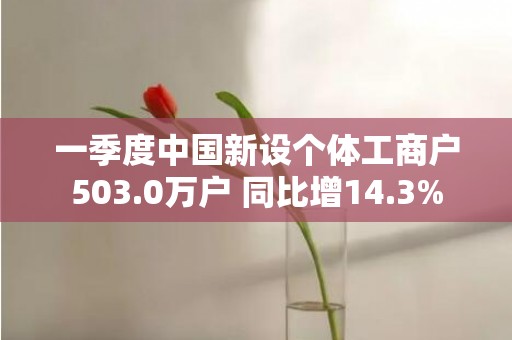 一季度中国新设个体工商户503.0万户 同比增14.3%