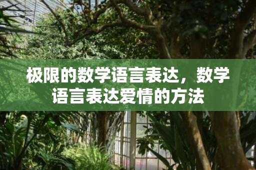 极限的数学语言表达，数学语言表达爱情的方法