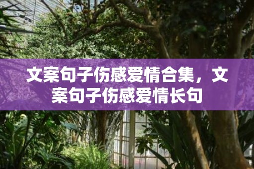 文案句子伤感爱情合集，文案句子伤感爱情长句