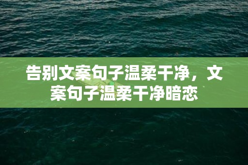 告别文案句子温柔干净，文案句子温柔干净暗恋