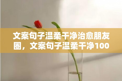 文案句子温柔干净治愈朋友圈，文案句子温柔干净100字