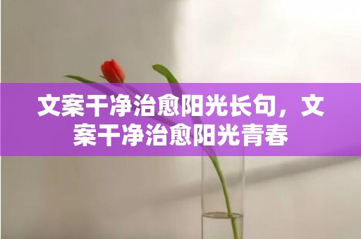 文案干净治愈阳光长句，文案干净治愈阳光青春