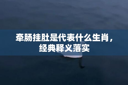 牵肠挂肚是代表什么生肖，经典释义落实