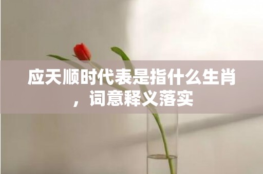 应天顺时代表是指什么生肖，词意释义落实