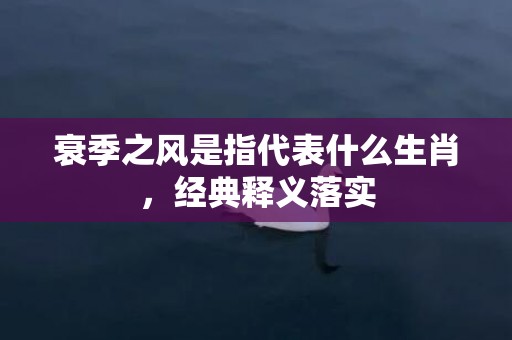 衰季之风是指代表什么生肖，经典释义落实