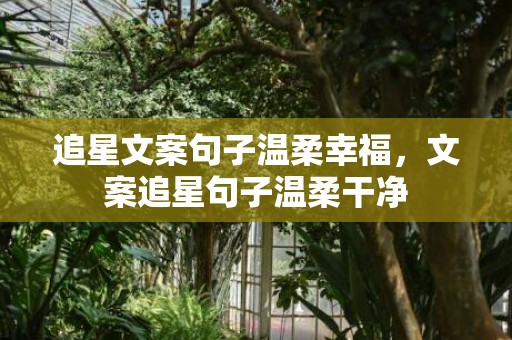 追星文案句子温柔幸福，文案追星句子温柔干净