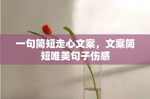 一句简短走心文案，文案简短唯美句子伤感