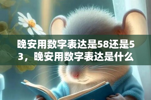 晚安用数字表达是58还是53，晚安用数字表达是什么