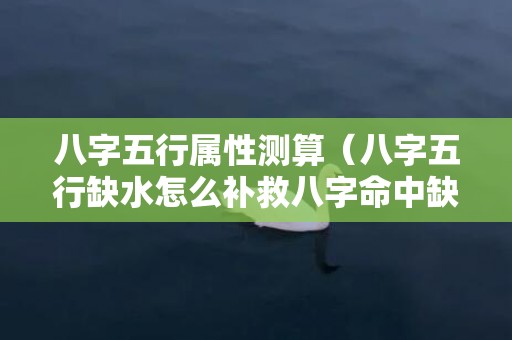 八字五行属性测算（八字五行缺水怎么补救八字命中缺水怎么补）