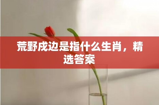 荒野戍边是指什么生肖，精选答案