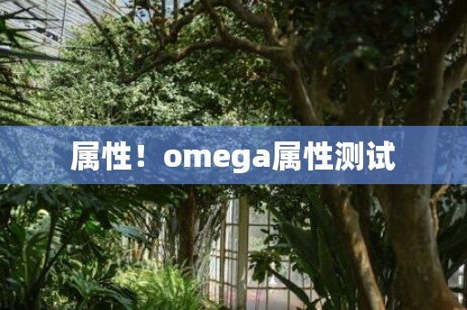 属性！omega属性测试