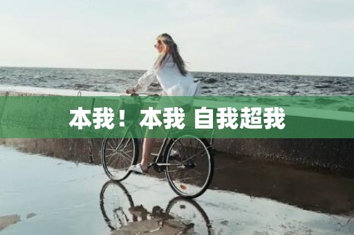 本我！本我 自我超我