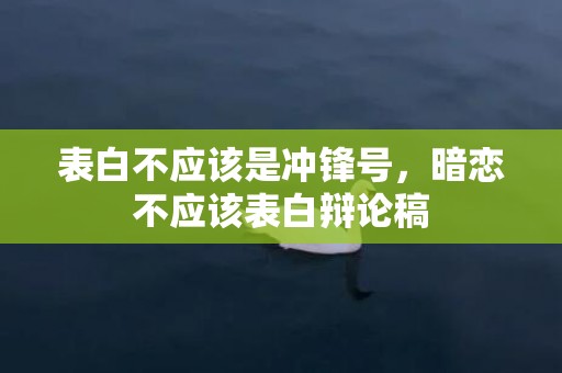 表白不应该是冲锋号，暗恋不应该表白辩论稿