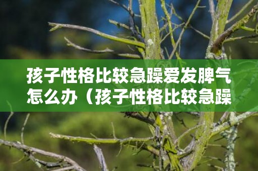 孩子性格比较急躁爱发脾气怎么办（孩子性格比较急躁爱发脾气怎么办呢）