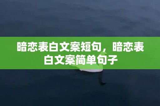 暗恋表白文案短句，暗恋表白文案简单句子