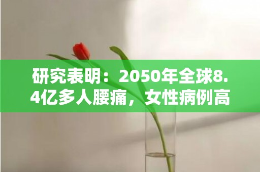 研究表明：2050年全球8.4亿多人腰痛，女性病例高于男性