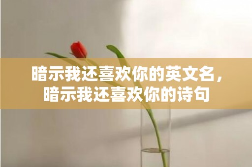 暗示我还喜欢你的英文名，暗示我还喜欢你的诗句