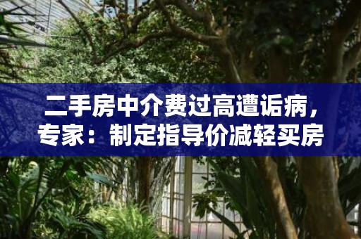 二手房中介费过高遭诟病，专家：制定指导价减轻买房人负担