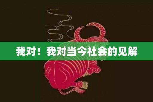 我对！我对当今社会的见解