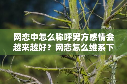 网恋中怎么称呼男方感情会越来越好？网恋怎么维系下去？