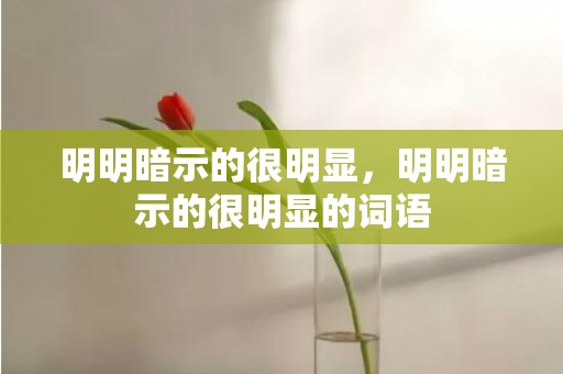 明明暗示的很明显，明明暗示的很明显的词语