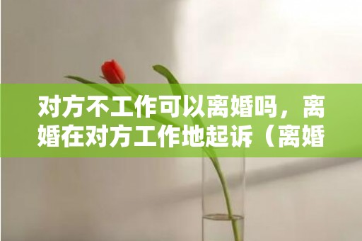 对方不工作可以离婚吗，离婚在对方工作地起诉（离婚在对方工作地起诉怎么办）