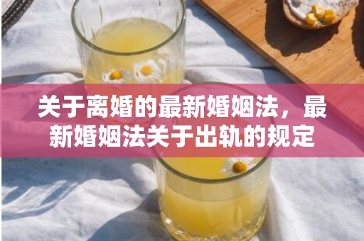 关于离婚的最新婚姻法，最新婚姻法关于出轨的规定