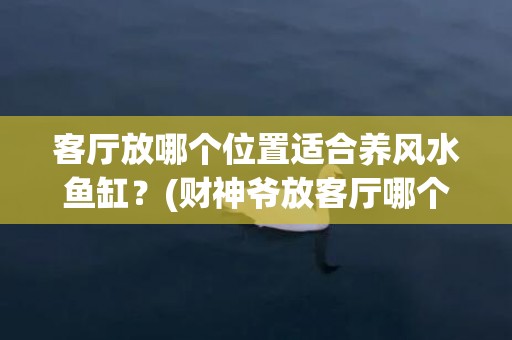 客厅放哪个位置适合养风水鱼缸？(财神爷放客厅哪个位置好)