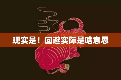 现实是！回避实际是啥意思