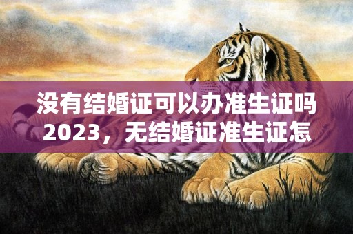 没有结婚证可以办准生证吗2023，无结婚证准生证怎么办理