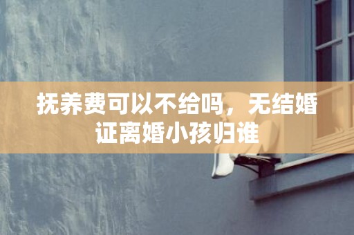 抚养费可以不给吗，无结婚证离婚小孩归谁