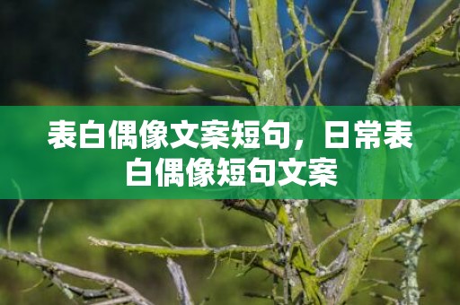 表白偶像文案短句，日常表白偶像短句文案