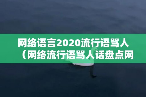 网络语言2020流行语骂人（网络流行语骂人话盘点网络流行的骂人的话）