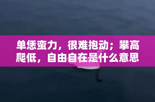 单恁蛮力，很难抱动；攀高爬低，自由自在是什么意思是什么含义，精选答案